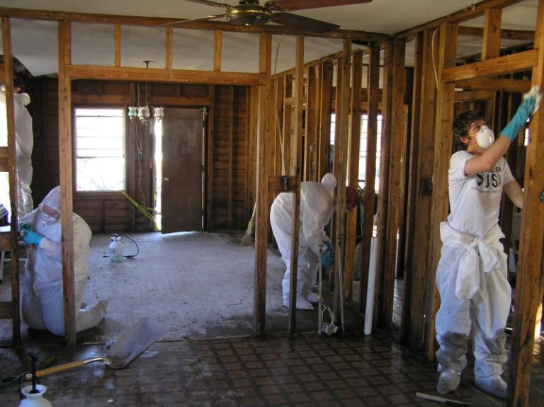 Mold Under Linoleum Floor in Bathroom The Mold Hound